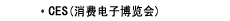 CES (消费电子博览会)