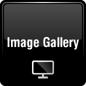 Image Gallery