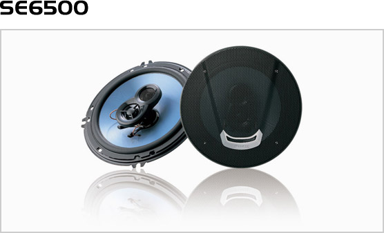SE6500