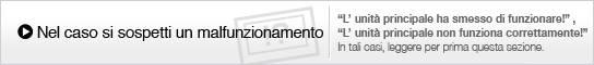 Nel caso si sospetti un malfunzionamento